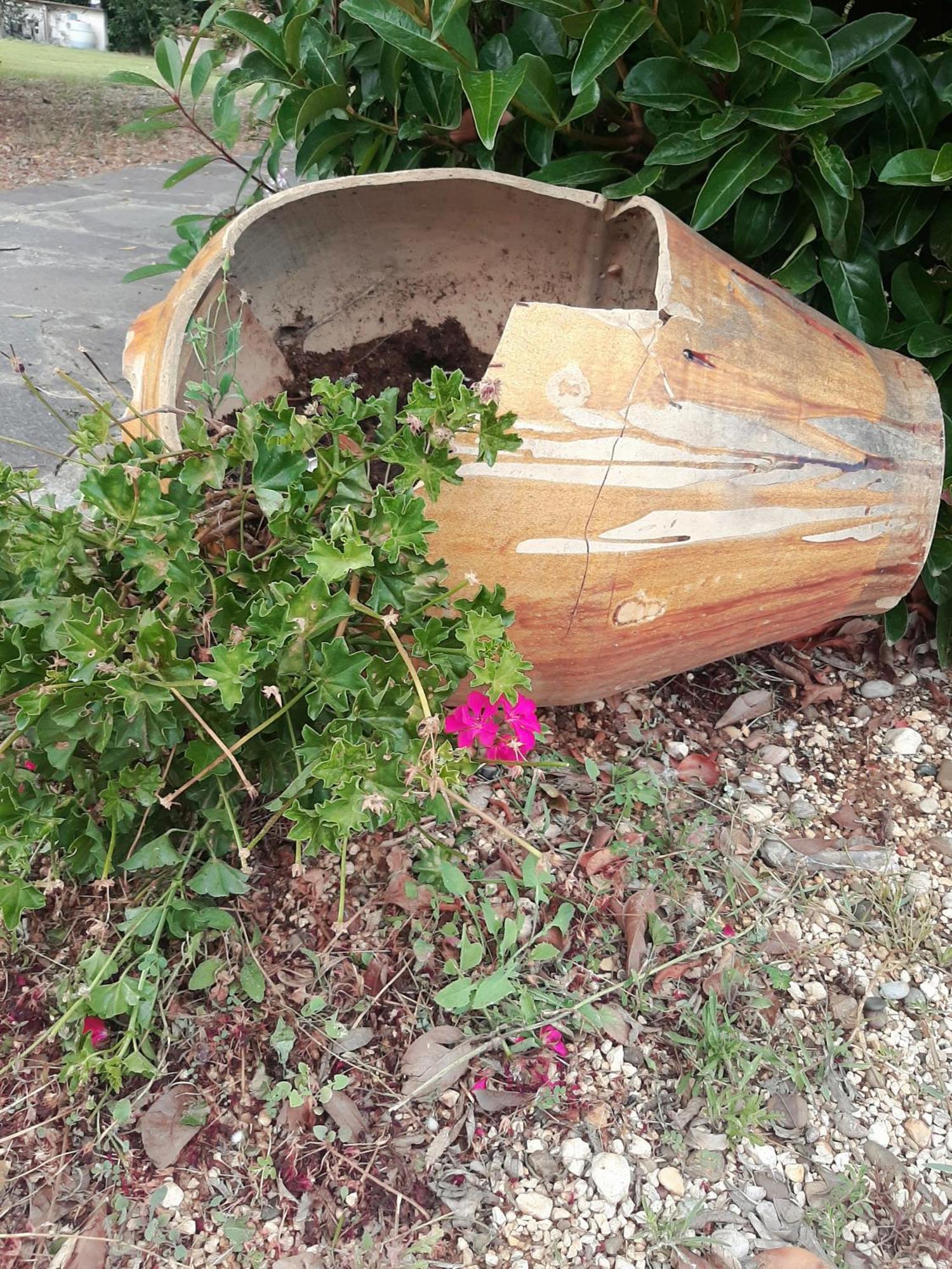 Villa Carrieri Marina di Lizzano Exteriör bild