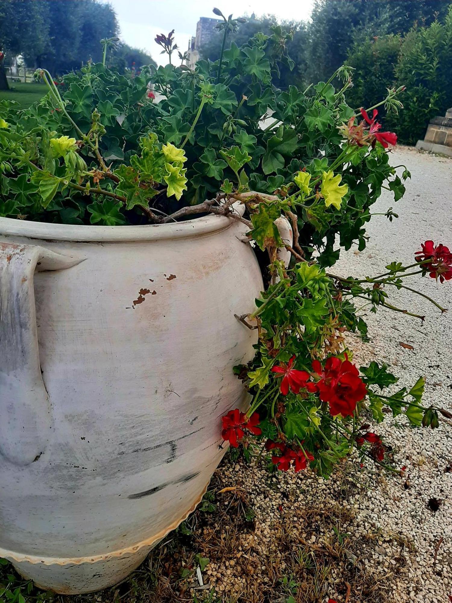 Villa Carrieri Marina di Lizzano Exteriör bild